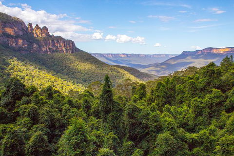 Blue Mountains Nature And Wildlife Day Tour From Sydney - Accommodation NT 32