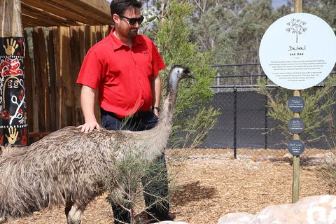 Blue Mountains Nature And Wildlife Day Tour From Sydney - Accommodation NT 29