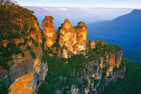 Blue Mountains Nature And Wildlife Day Tour From Sydney - Accommodation NT 33
