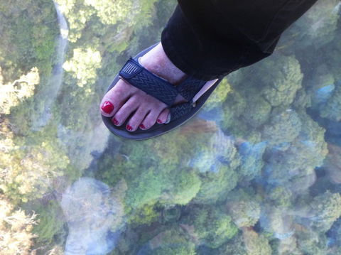 Blue Mountains Day Trip From Sydney Including Scenic World - Accommodation NT 1