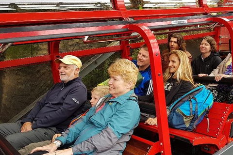 Blue Mountains Ultimate One-Day Tour - Accommodation NT 12