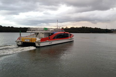 Blue Mountains Ultimate One-Day Tour - Accommodation NT 10