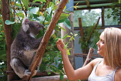 Private Guided Tour: Blue Mountains Tour From Sydney - Accommodation NT 8