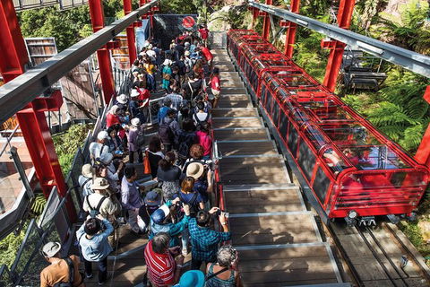 Private Guided Tour: Blue Mountains Tour From Sydney - Accommodation NT 10