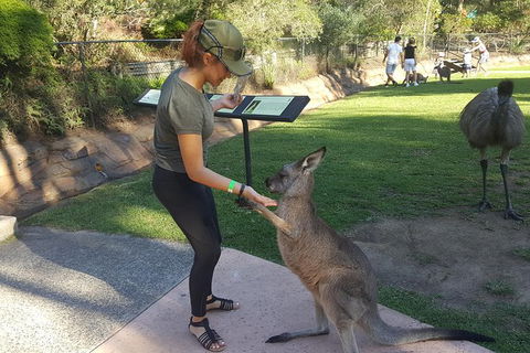 Sydney Private Day Tours - Central Coast, Beaches, Plus Wildlife & Reptile Park - Accommodation NT 0