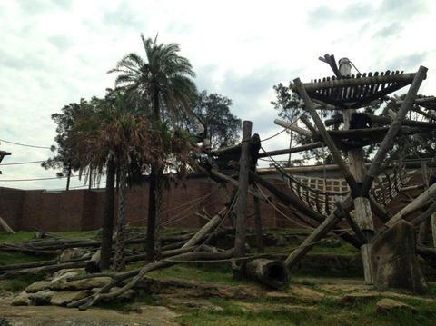 Sydney Taronga Zoo General Entry Ticket - Accommodation NT 20