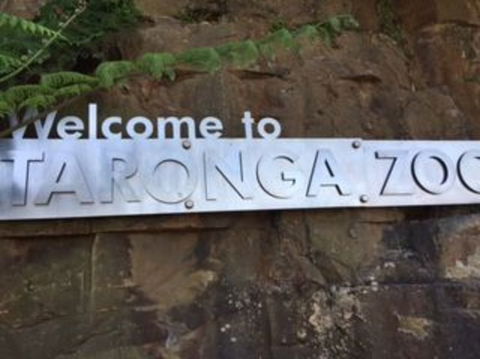 Sydney Taronga Zoo General Entry Ticket - Accommodation NT 4