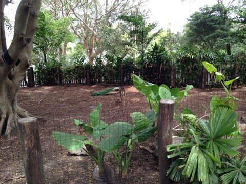 Sydney Taronga Zoo General Entry Ticket - Accommodation NT 19