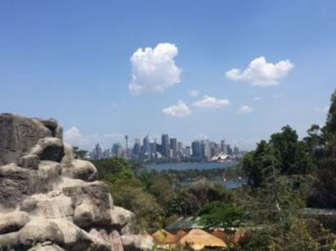 Sydney Taronga Zoo General Entry Ticket - Accommodation NT 5