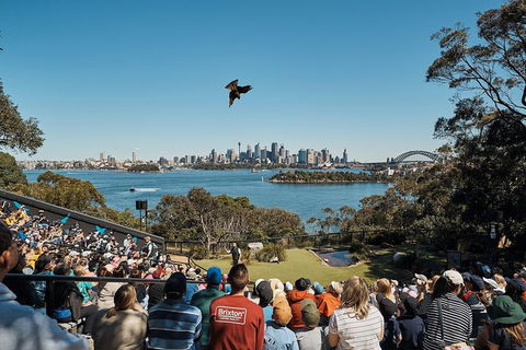 Sydney Taronga Zoo General Entry Ticket - Accommodation NT 27