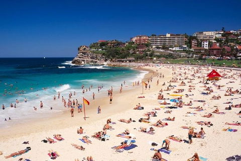 Sydney Half Day Highlights - Luxury Private Tour - Morning Or Afternoon Avail - Accommodation NT 13
