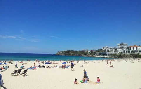 Sydney Combo: Hop-On Hop-Off Harbor Cruise And Hop-On Hop-Off City Bus Tour - Accommodation NT 25