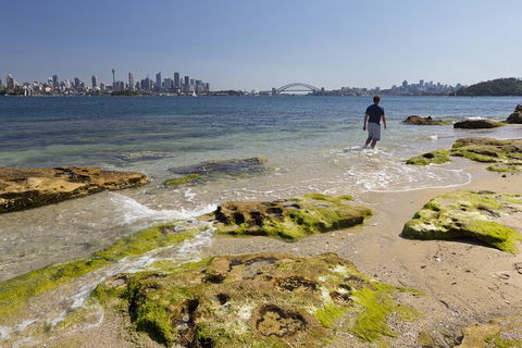 Sydney Combo: Hop-On Hop-Off Harbor Cruise And Hop-On Hop-Off City Bus Tour - Accommodation NT 30