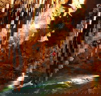 Jenolan Caves and Blue Mountains Tour from Sydney - Accommodation NT