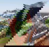 Scenic Hunter Valley Winery Tour with Boutique Wineries  Local Cheese - Accommodation NT