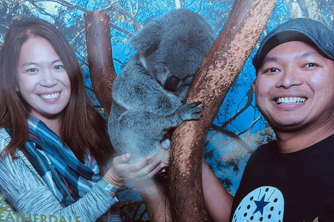 Blue Mountains Private Day Tour From Sydney With Wildlife Park And Cruise - Accommodation NT 1
