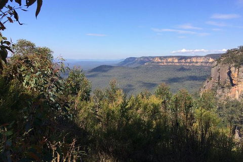 Blue Mountains Private Day Tour From Sydney With Wildlife Park And Cruise - Accommodation NT 3