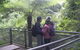 Blue Mountains Private Day Tour From Sydney With Wildlife Park And Cruise - thumb 13