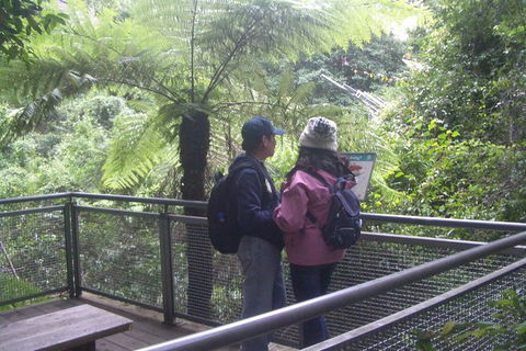 Blue Mountains Private Day Tour From Sydney With Wildlife Park And Cruise - Accommodation NT 13