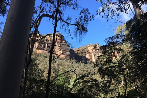 Blue Mountains Private Day Tour From Sydney With Wildlife Park And Cruise - Accommodation NT 10