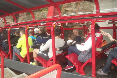 Blue Mountains Private Day Tour From Sydney With Wildlife Park And Cruise - Accommodation NT 16
