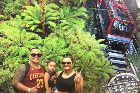 Blue Mountains Private Day Tour From Sydney With Wildlife Park And Cruise - Accommodation NT 4