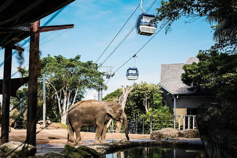 Sydney Taronga Zoo General Entry Ticket And Wild Australia Experience - Accommodation NT 0