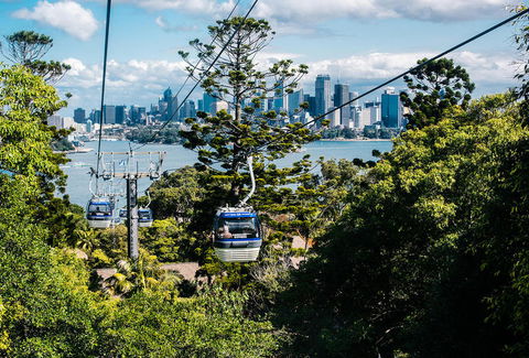 Sydney Taronga Zoo General Entry Ticket And Wild Australia Experience - Accommodation NT 13