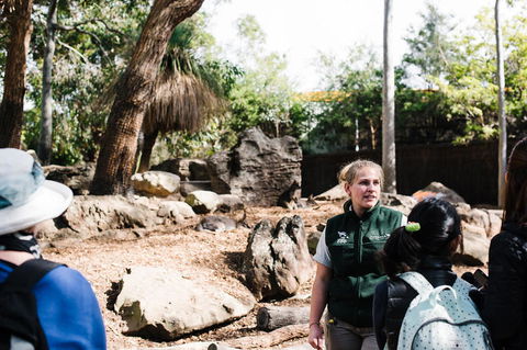 Sydney Taronga Zoo General Entry Ticket And Wild Australia Experience - Accommodation NT 8