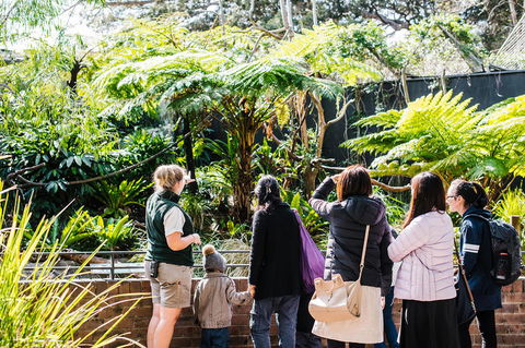 Sydney Taronga Zoo General Entry Ticket And Wild Australia Experience - Accommodation NT 14