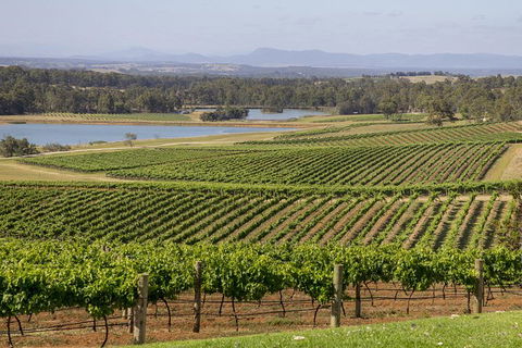 Hunter Valley Wine Tour From Sydney With Lunch And 3 Cellar Door Tastings - Accommodation NT 1