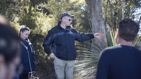 Small-Group Blue Mountains Day Trip From Sydney With Wildlife Park - Accommodation NT 17