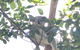 Small-Group Blue Mountains Day Trip From Sydney With Wildlife Park - thumb 5