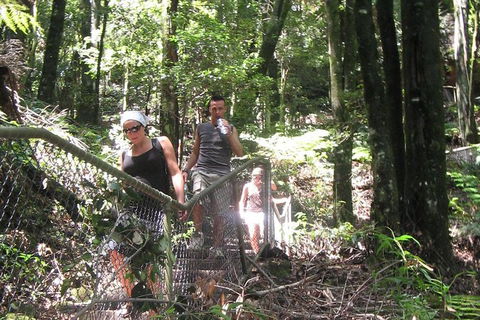 Small-Group Blue Mountains Day Trip From Sydney With Wildlife Park - Accommodation NT 32