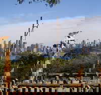 Sydney Taronga Zoo's Australian Animals Tour - Accommodation NT