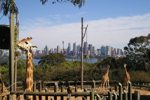 Sydney Taronga Zoo\'s Australian Animals Tour - Accommodation NT 0