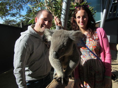 Sydney Taronga Zoo\'s Australian Animals Tour - Accommodation NT 7