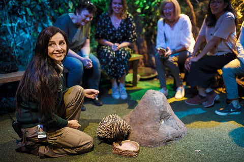 Sydney Taronga Zoo\'s Australian Animals Tour - Accommodation NT 12