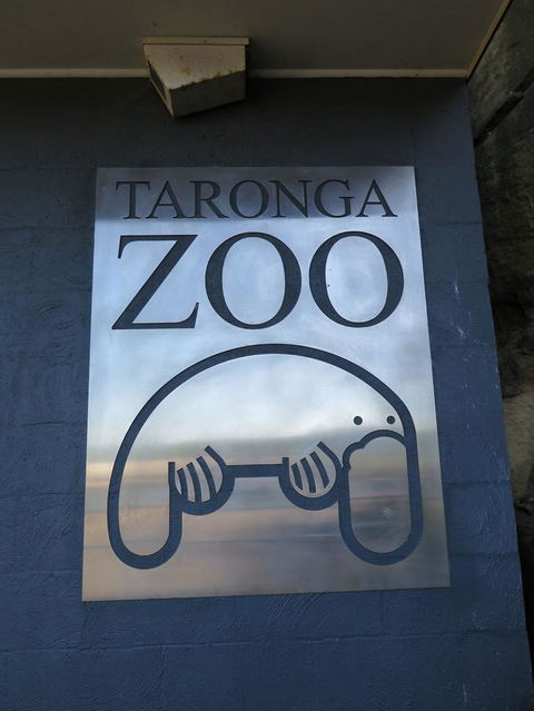 Sydney Harbour Ferry With Taronga Zoo Entry Ticket - Accommodation NT 5