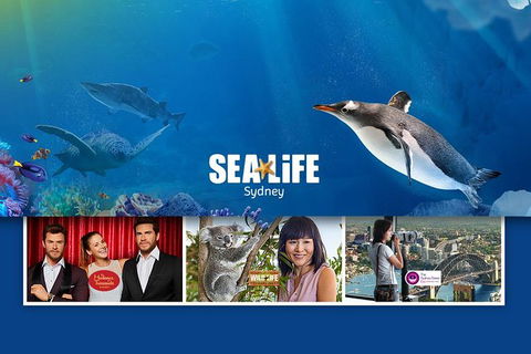 Sydney Attractions Pass: SEA LIFE Aquarium, Sydney Tower Eye, WILD LIFE Zoo And Madame Tussauds - Accommodation NT 0