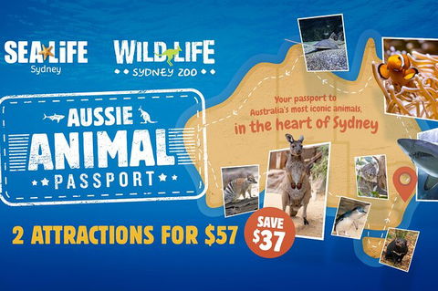 Sydney Attractions Pass: SEA LIFE Aquarium, Sydney Tower Eye, WILD LIFE Zoo And Madame Tussauds - Accommodation NT 4