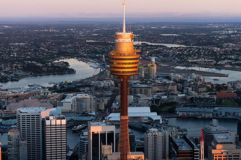 Sydney Attractions Pass: SEA LIFE Aquarium, Sydney Tower Eye, WILD LIFE Zoo And Madame Tussauds - Accommodation NT 8