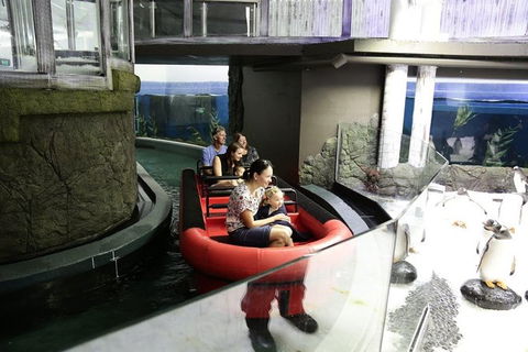 Sydney Attractions Pass: SEA LIFE Aquarium, Sydney Tower Eye, WILD LIFE Zoo And Madame Tussauds - Accommodation NT 6