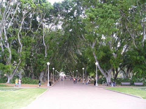 Sydney Bike Tours - Accommodation NT 24