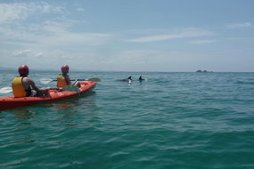 Book Goonellabah NSW Attractions Accommodation NT Accommodation NT