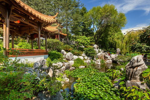 Chinese Garden General Admission Ticket - Accommodation NT 6