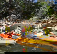 Paddle in Paradise - 4 hours Double Kayak Hire - Accommodation NT