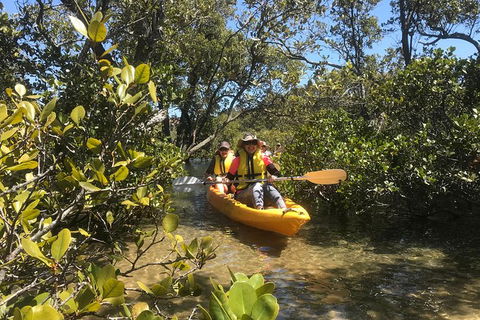 Paddle In Paradise - 4 Hours Double Kayak Hire - Accommodation NT 1