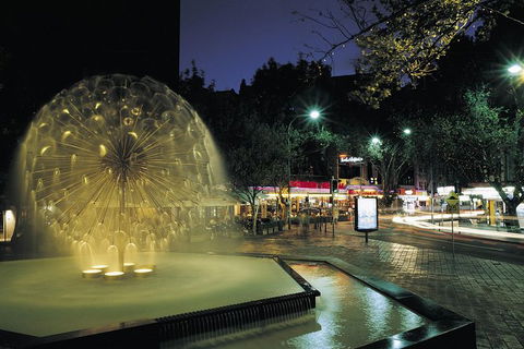 Private Tour: Sydney At Night - Accommodation NT 8