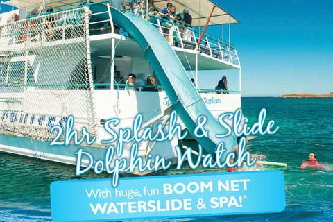 Port Stephens Dolphin Watching Cruise Including Splash And Slide - NT Tourism 0